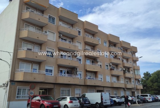 Apartment / flat - Sale - Monovar - Monovar