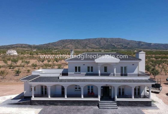 Chalet / Villa - Nueva construcción  - Pinoso - Camino Del Prado