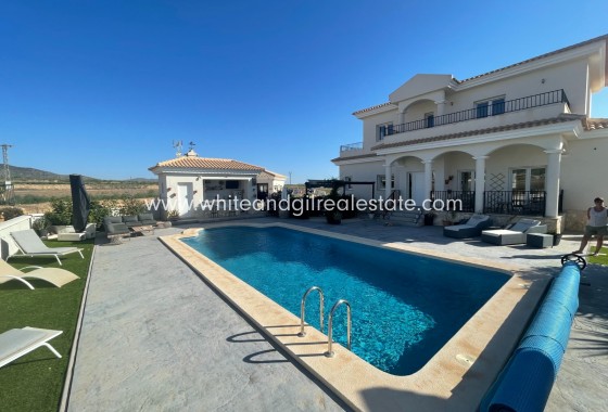 Chalet / Villa - Venta - Pinoso - Pinoso - El Pinós