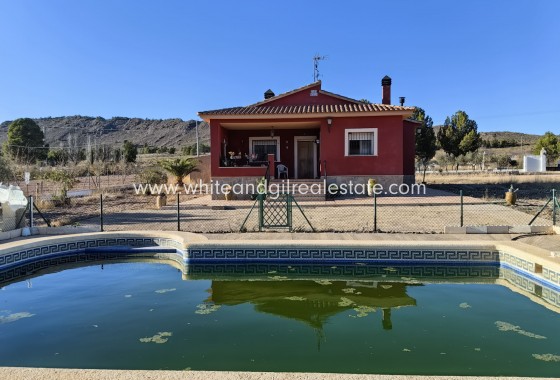 Chalet / Villa - Venta - Yecla - rp1453