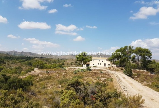 Chalet / Villa - Venta - Yecla - Rural location