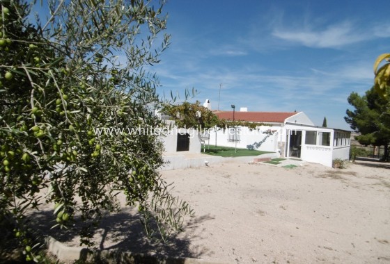 Chalet / Villa - Venta - Yecla -
                Yecla