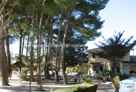 Chalet / Villa - Venta - Yecla - Yecla