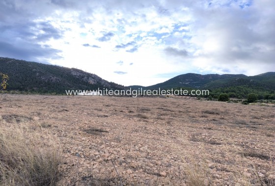Country house  - Sale - Yecla - Rural location