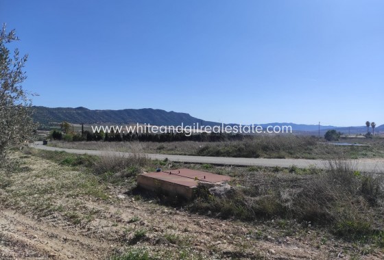 Parcela / Terreno - Venta - Salinas - WG6002