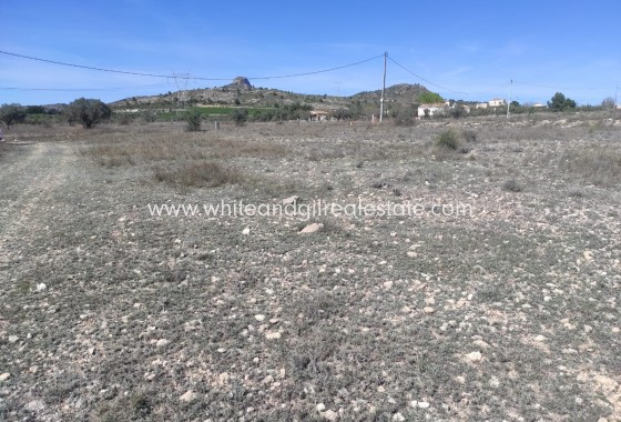 Parcelle / Terrain - Revente - Salinas - WG6011
