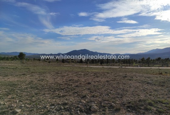 Plot / Land - Sale - Salinas -
                Salinas