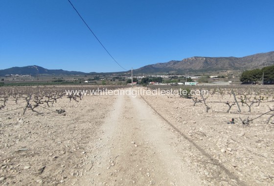 Plot / Land - Sale - Salinas -
                Salinas