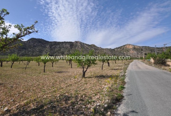 Plot / Land - Sale - Salinas -
                Salinas