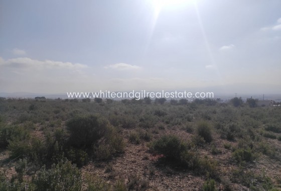 Plot / Land - Sale - Yecla - WG6079