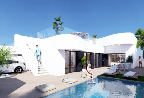 Villa  - New Build - Algorfa - SG-36713