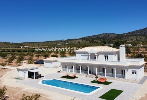 Villa  - New Build - Pinoso - Camino Del Prado