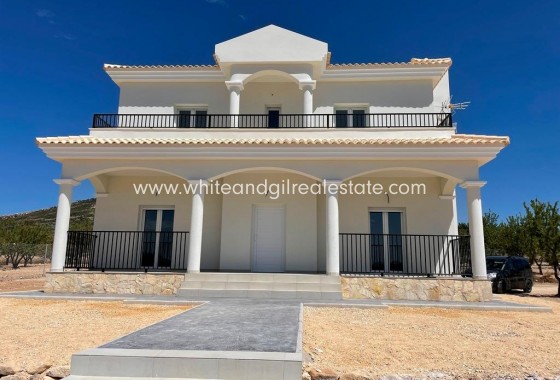 Villa  - New Build - Pinoso -
                Camino Del Prado