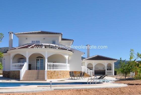 Villa  - New Build - Pinoso - Campo