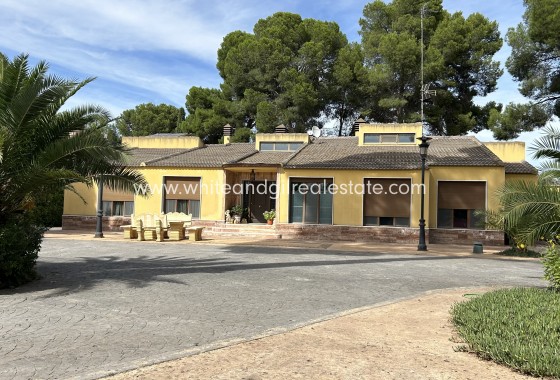 Villa  - Revente - Yecla - Yecla