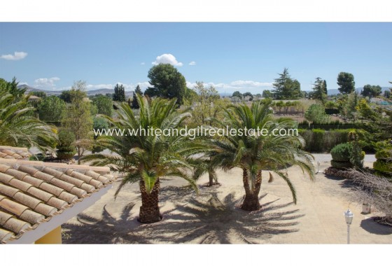 Sale - Villa  - Yecla - Rural location