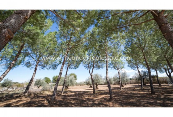 Sale - Villa  - Yecla - Rural location