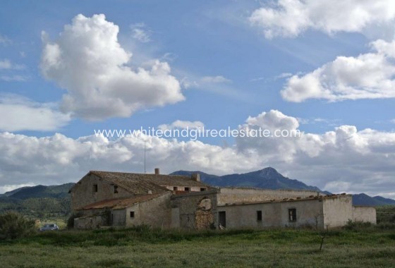 Sale - Country house  - Torre Del Rico - Rural location