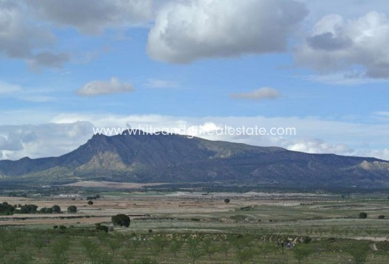 Sale - Country house  - Torre Del Rico - Rural location