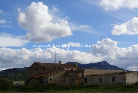 Sale - Country house  - Torre Del Rico - Rural location