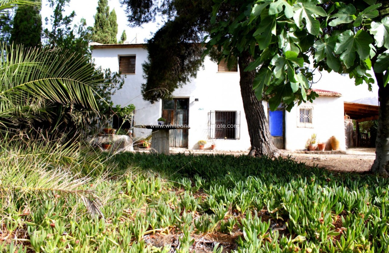 Sale - Villa  - Monforte del Cid - Rural location