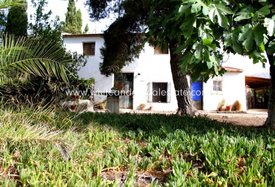 Sale - Villa  - Monforte del Cid - Rural location