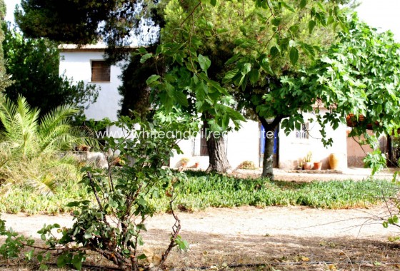 Sale - Villa  - Monforte del Cid - Rural location