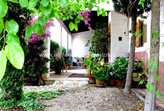 Sale - Villa  - Monforte del Cid - Rural location