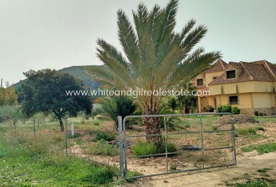 Sale - Villa  - Aspe - Rural location