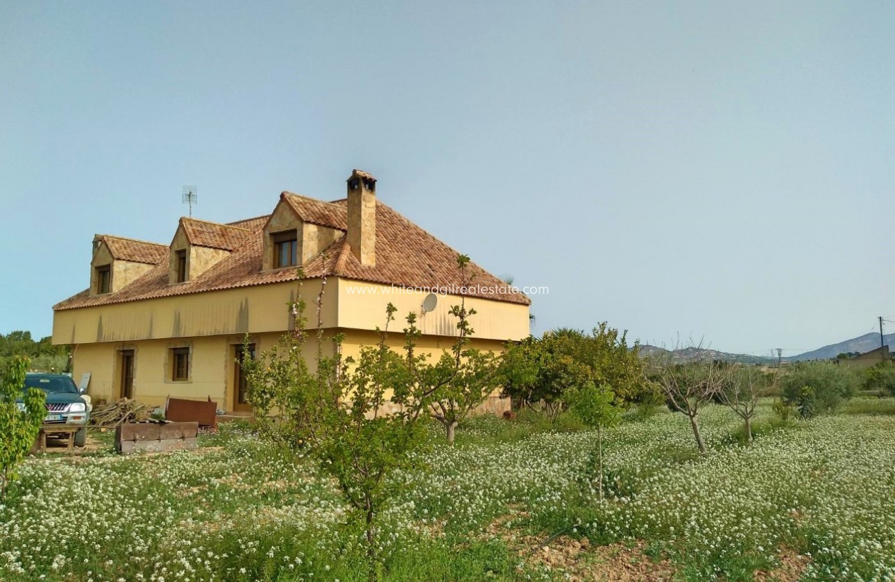 Sale - Villa  - Aspe - Rural location