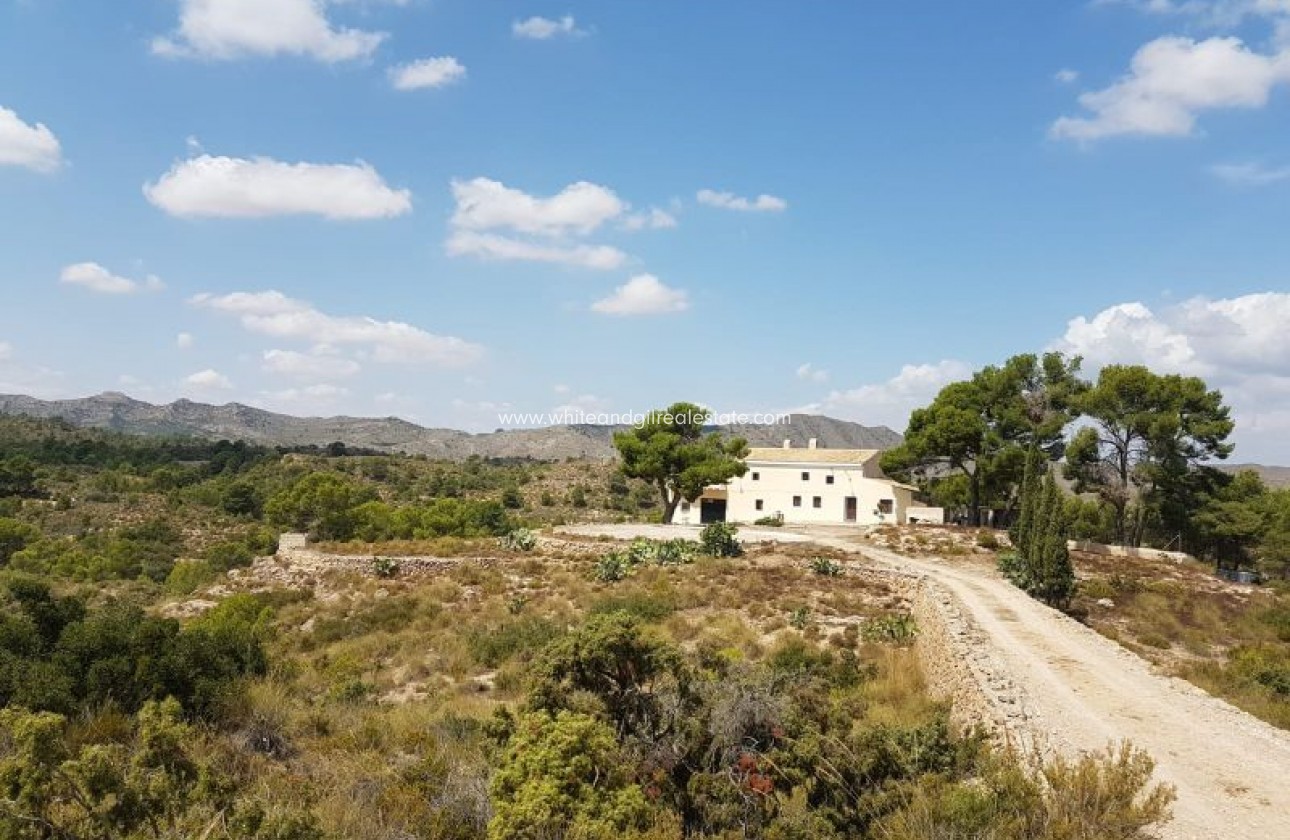 Sale - Villa  - Yecla - Rural location