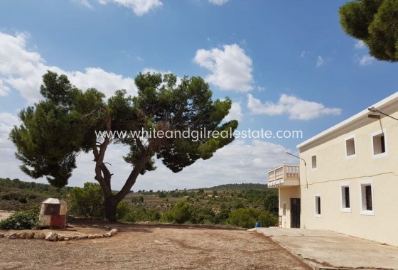 Sale - Villa  - Yecla - Rural location