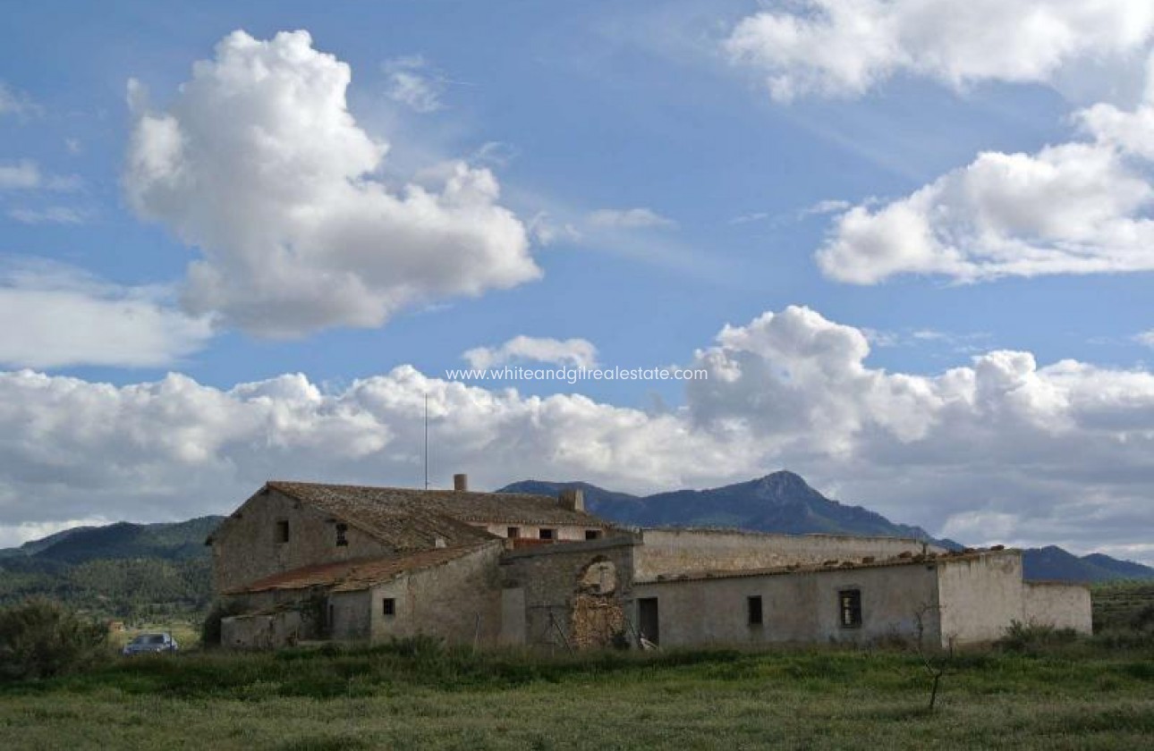 Sale - Country house  - Torre Del Rico - Rural location