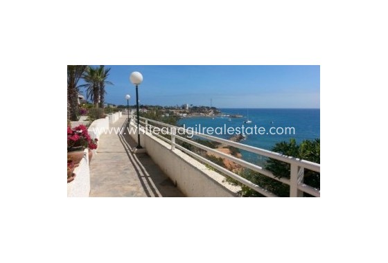 New Build - Villa  - Cabo Roig - Urban location