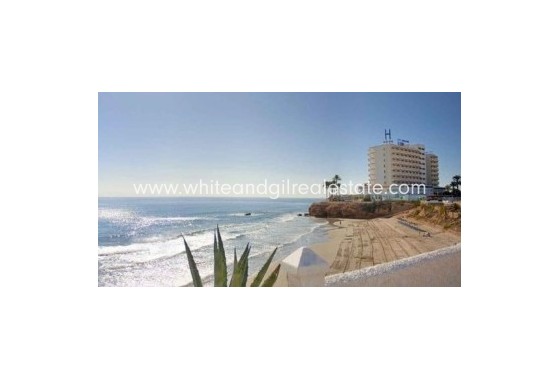 New Build - Villa  - Cabo Roig - Urban location