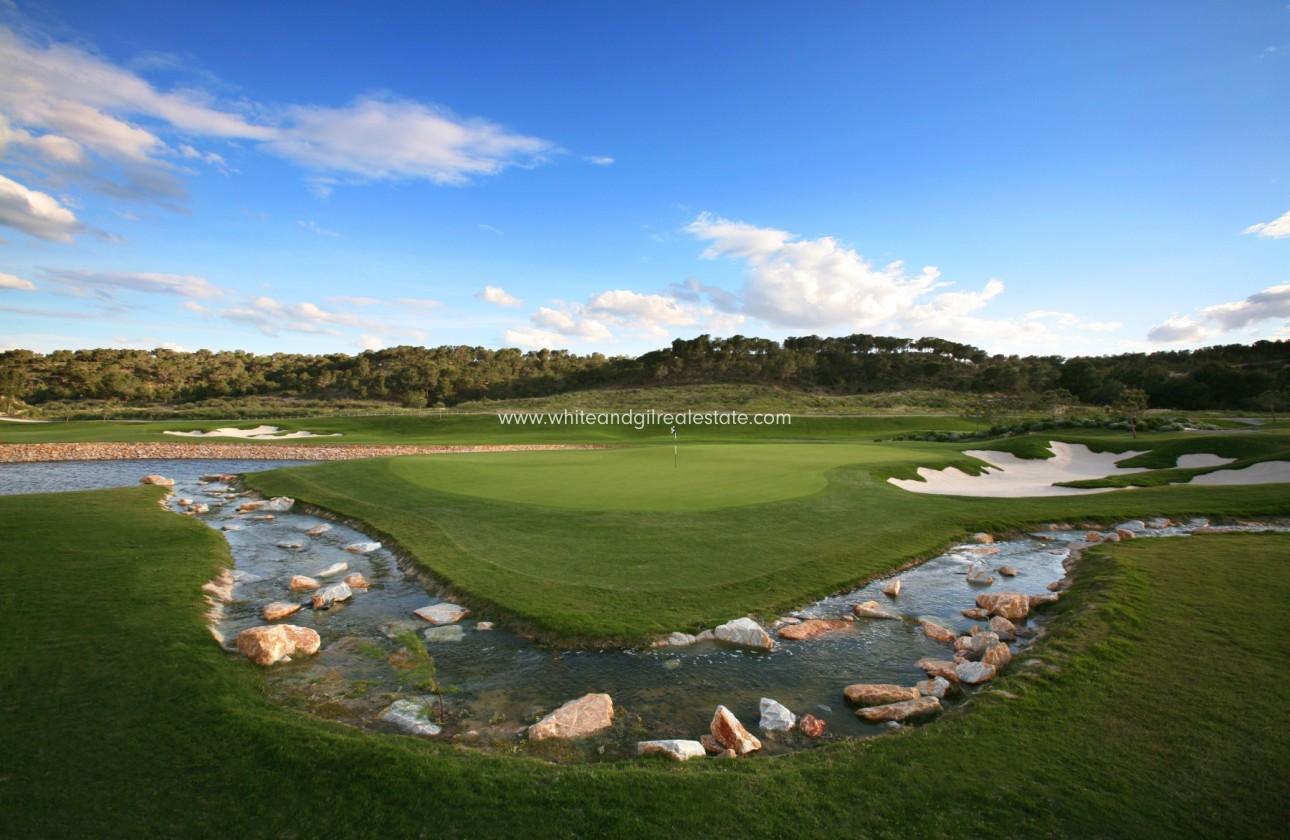 Nueva construcción  - Chalet / Villa - San Miguel de Salinas