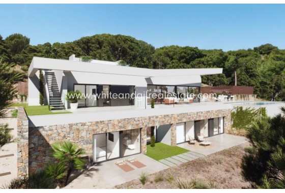 Nueva construcción  - Chalet / Villa - San Miguel de Salinas