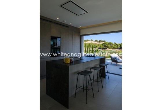 Nouvelle construction - Villa  - San Miguel de Salinas