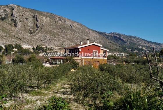 Sale - Villa  - Petrer - Rural location