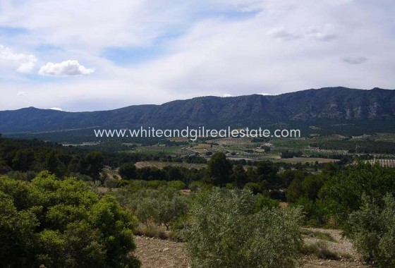 Sale - Country house  - Salinas - Rural location