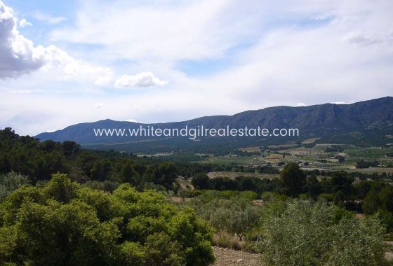 Sale - Country house  - Salinas - Rural location