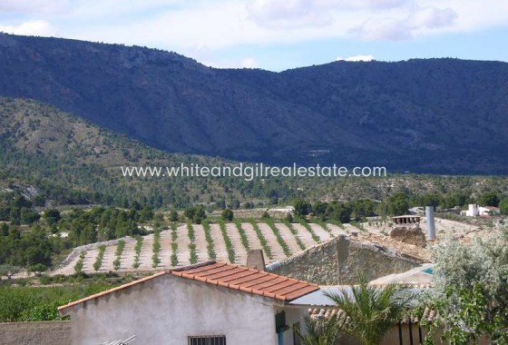 Sale - Country house  - Salinas - Rural location