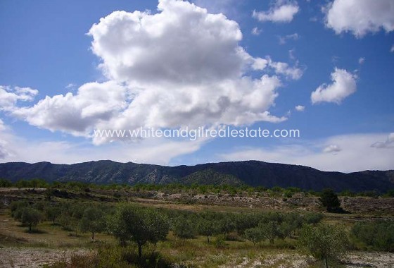 Sale - Country house  - Salinas - Rural location