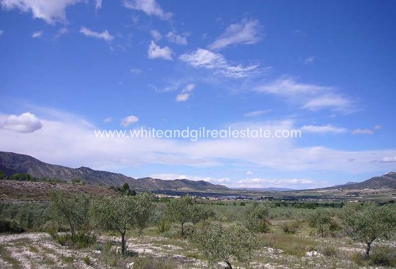 Sale - Country house  - Salinas - Rural location