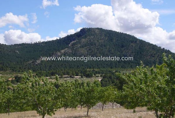 Sale - Country house  - Salinas - Rural location