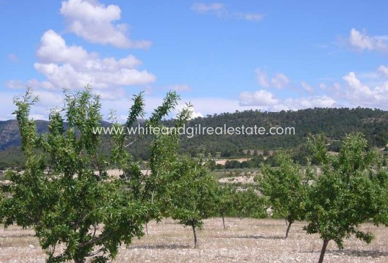 Sale - Country house  - Salinas - Rural location