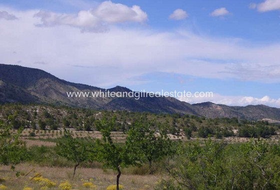 Sale - Country house  - Salinas - Rural location