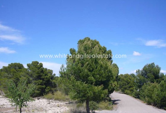 Sale - Country house  - Salinas - Rural location