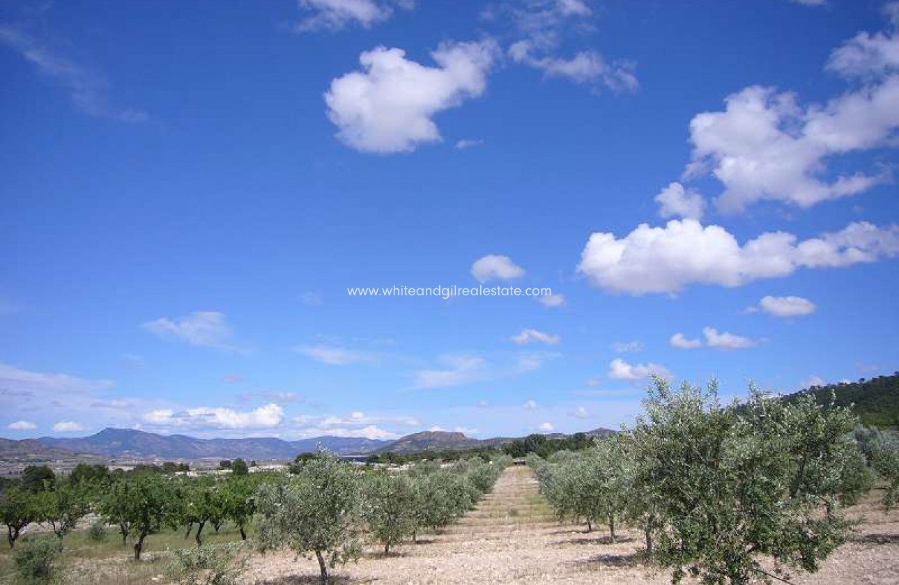 Sale - Country house  - Salinas - Rural location