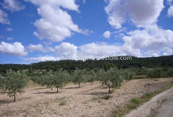 Sale - Country house  - Salinas - Rural location